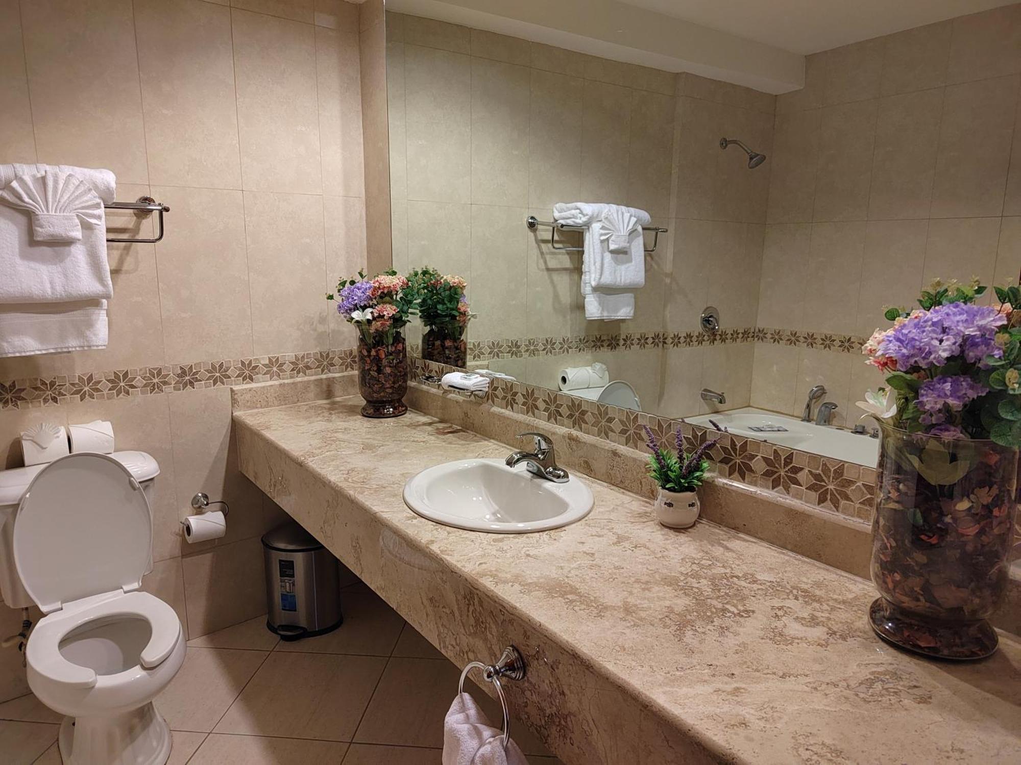Princess Hotel And Casino Free Zone Корозал Екстериор снимка